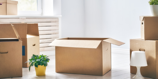 Get Organized And Declutter Event on January 19, 2023